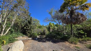 GC-Parque Botanico de Maspalomas 2025-079.jpg